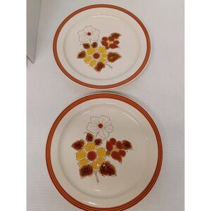 Vintage Floral Stoneware Dinner Plates •Japan Pottery • Cottagecore Set